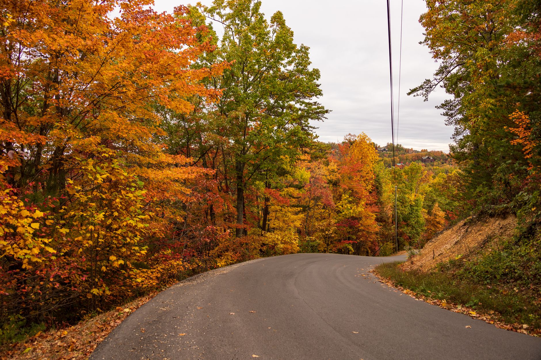 Winding road through vibrant autumn foliage in Pigeon Forge, Tennessee.