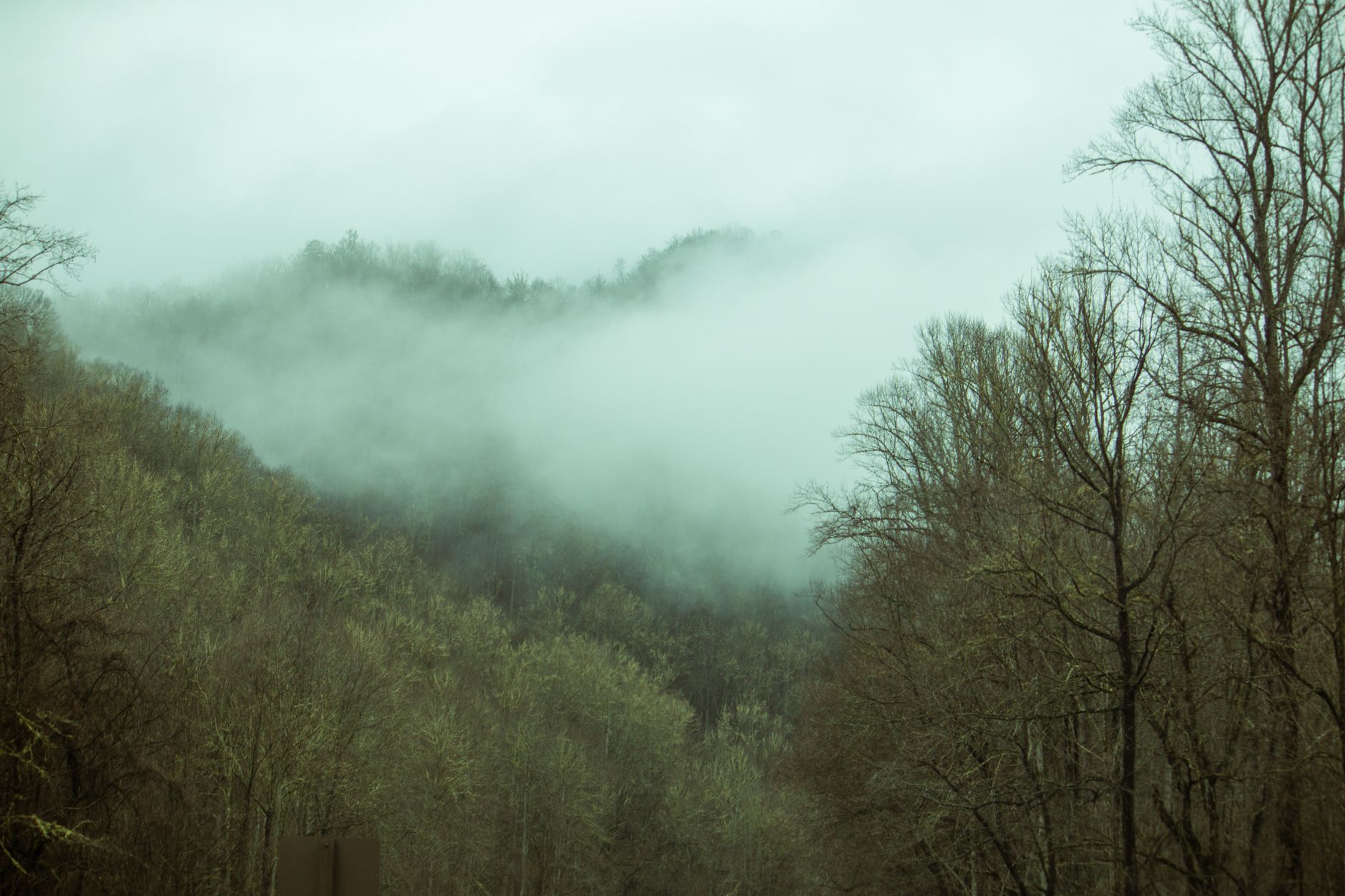 Peaceful foggy mountain forest landscape in the Great Smoky Mountains National Park.