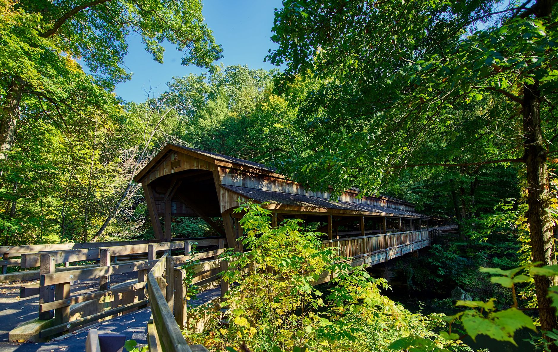 Beautiful wooden covered bridge in a vibrant summer forest in Youngstown, Ohio, showcasing natural rustic charm.