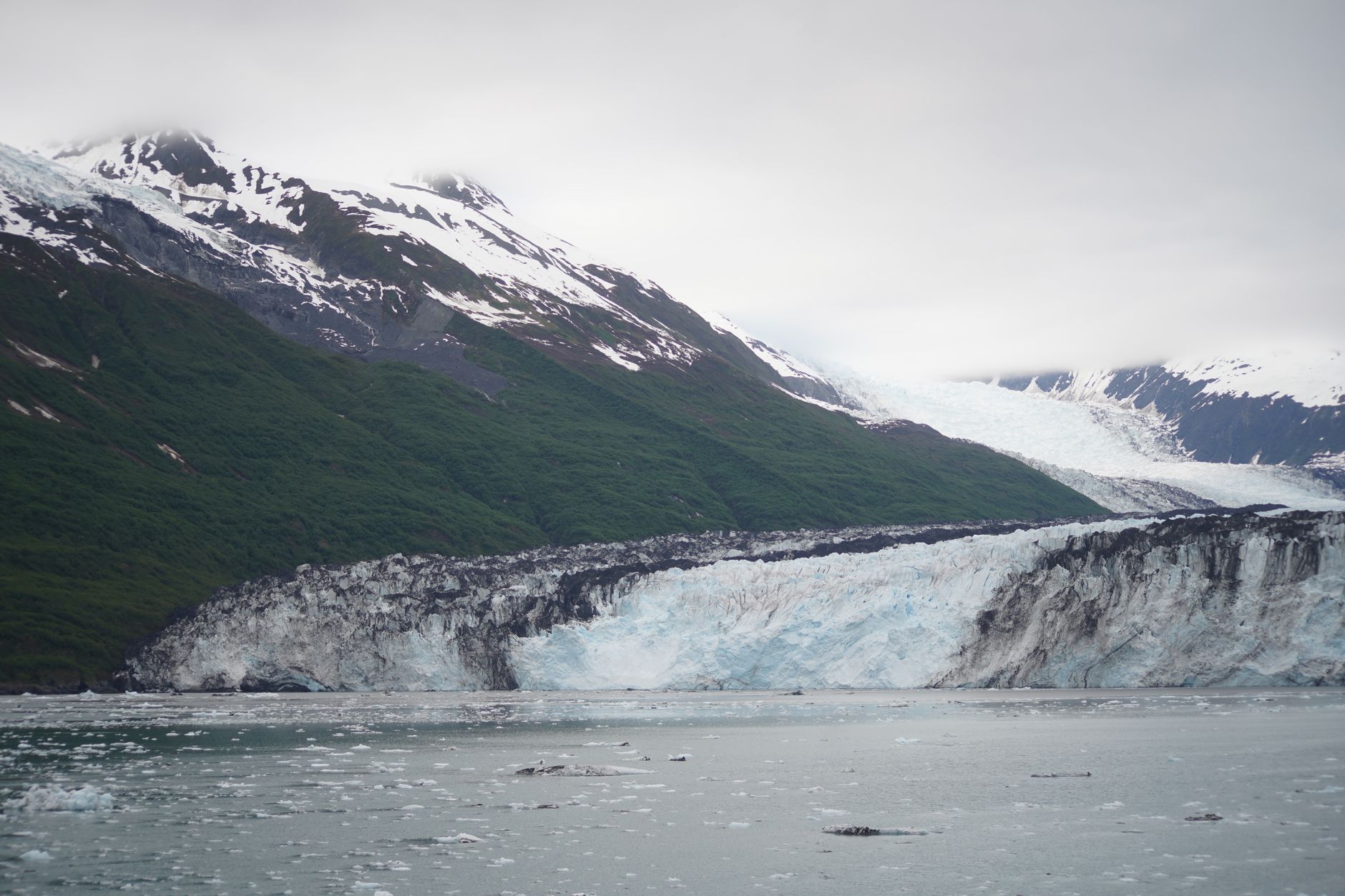 Breathtaking view of a glacier and surrounding mountains in Alaska, showcasing pristine icy waters and lush greenery.
