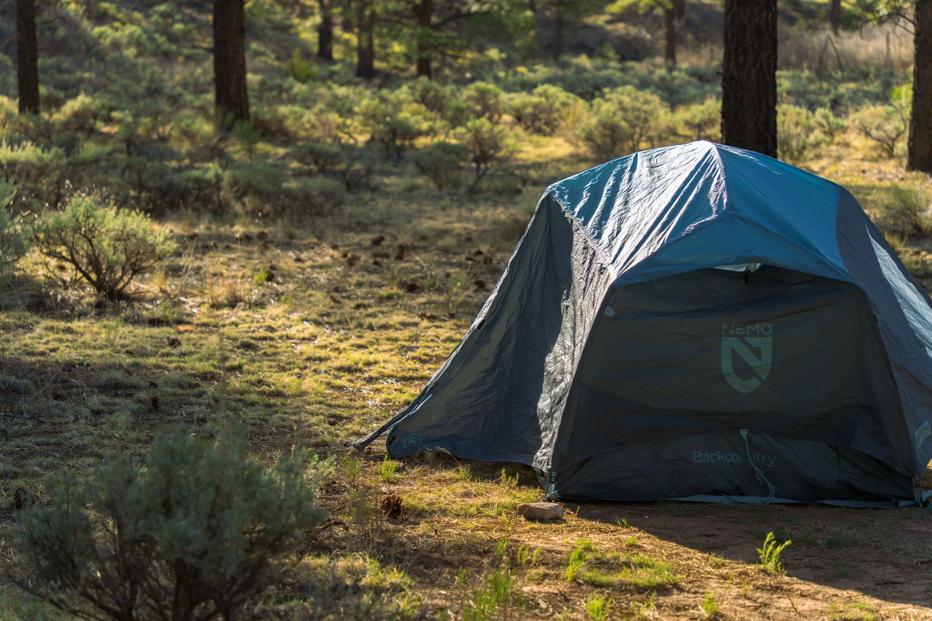 A serene campsite with a tent in Kaibab National Forest, Arizona, bathed in warm daylight.