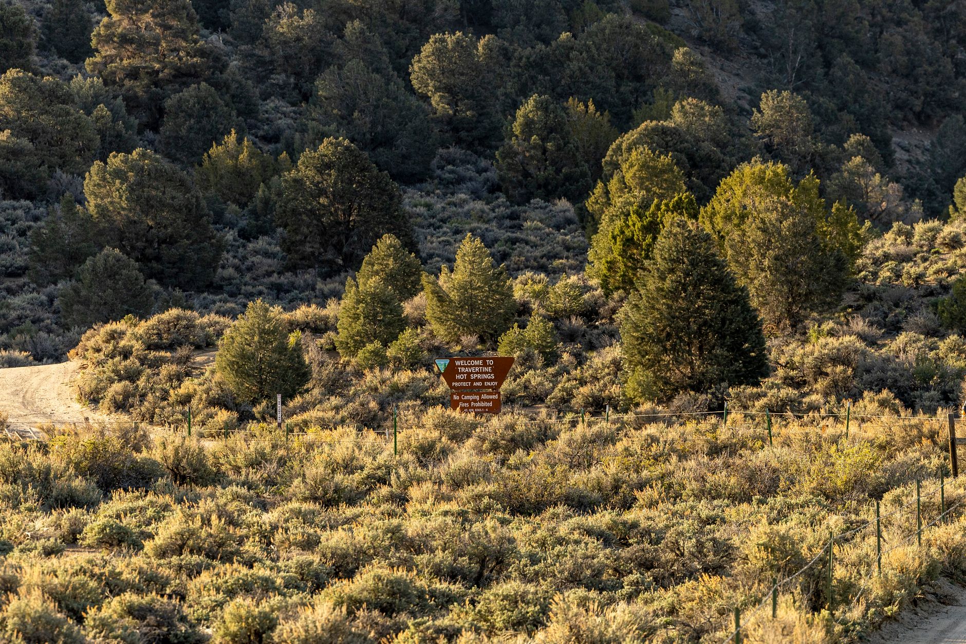 A tranquil forest scene featuring a trail and a welcoming sign under the warm glow of daylight.