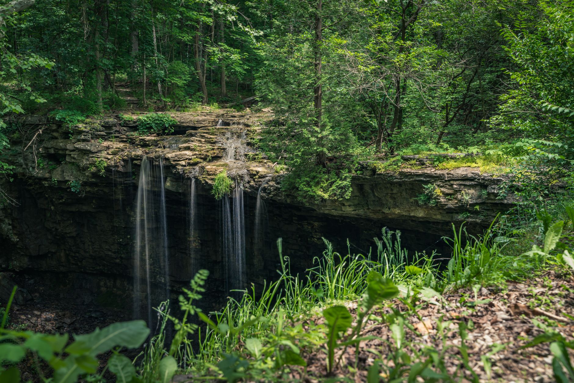 Lush green landscape showcasing Charleston Falls Preserve's cascading waterfall in Ohio.