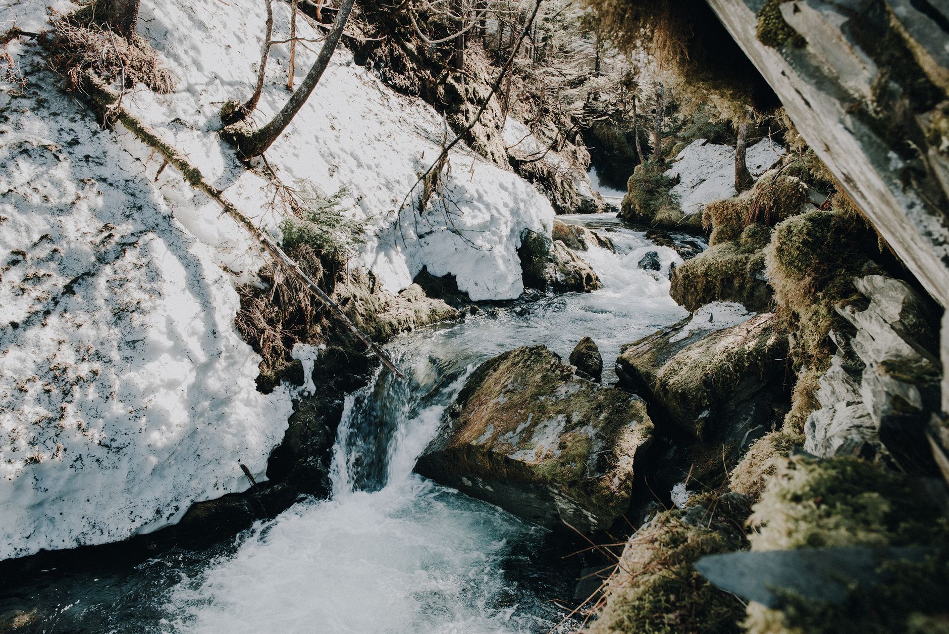Breathtaking view of a snow-covered mountain stream with mossy rocks in Whittier, Alaska.