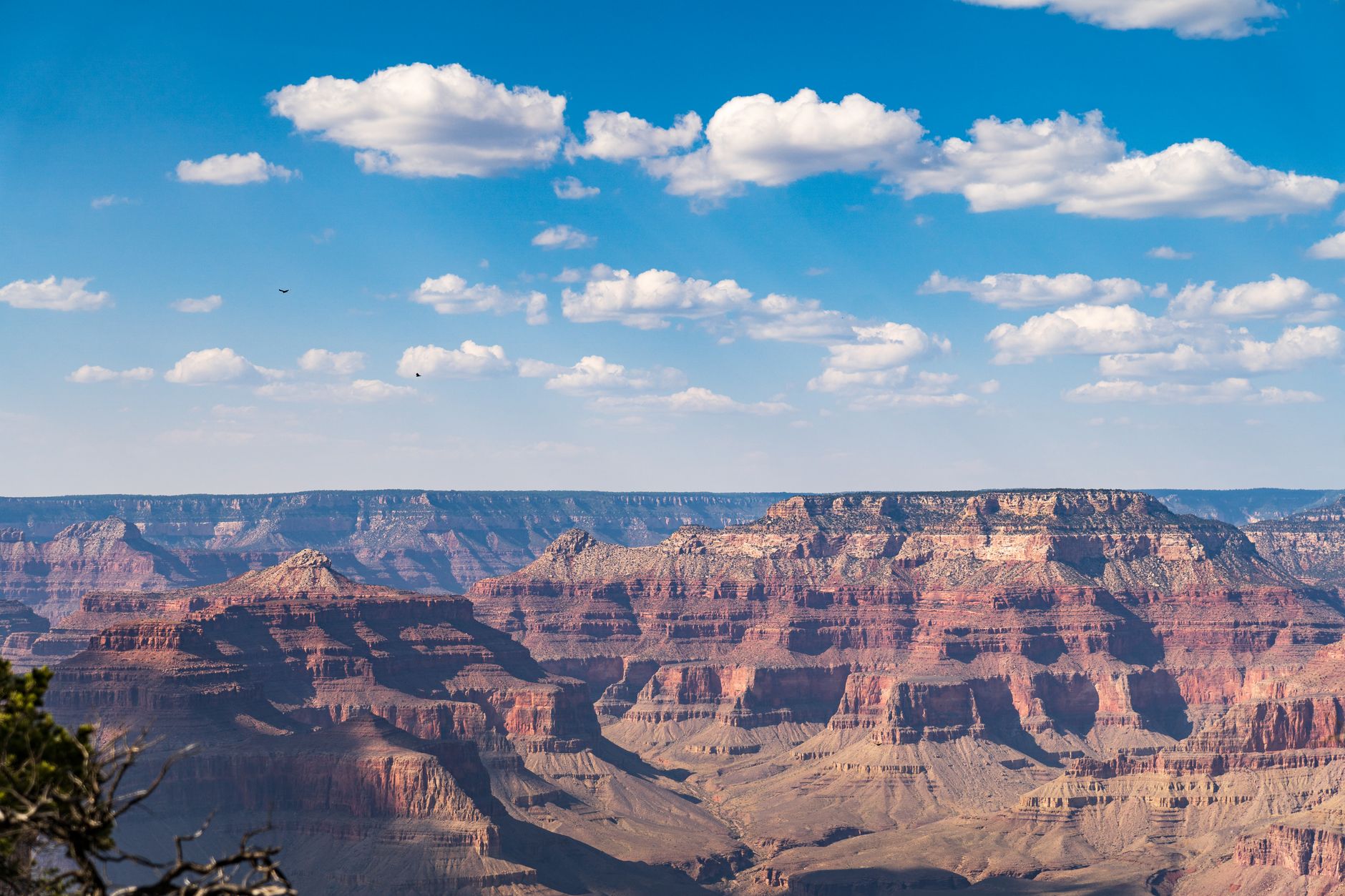 Stunning view of the Grand Canyon with clear blue skies and striking rock formations.
