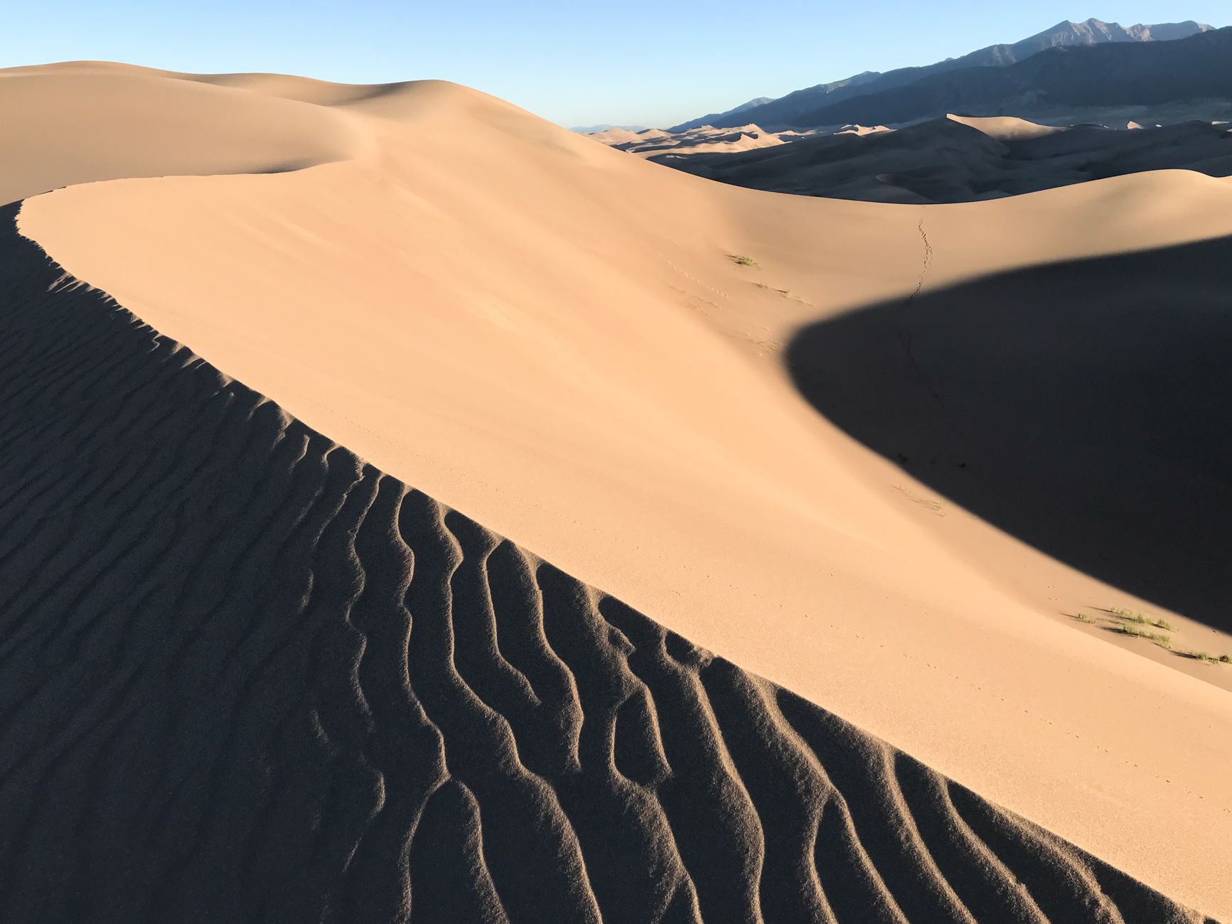Stunning sand dunes in Colorado, showcasing natural patterns and textures at sunrise.