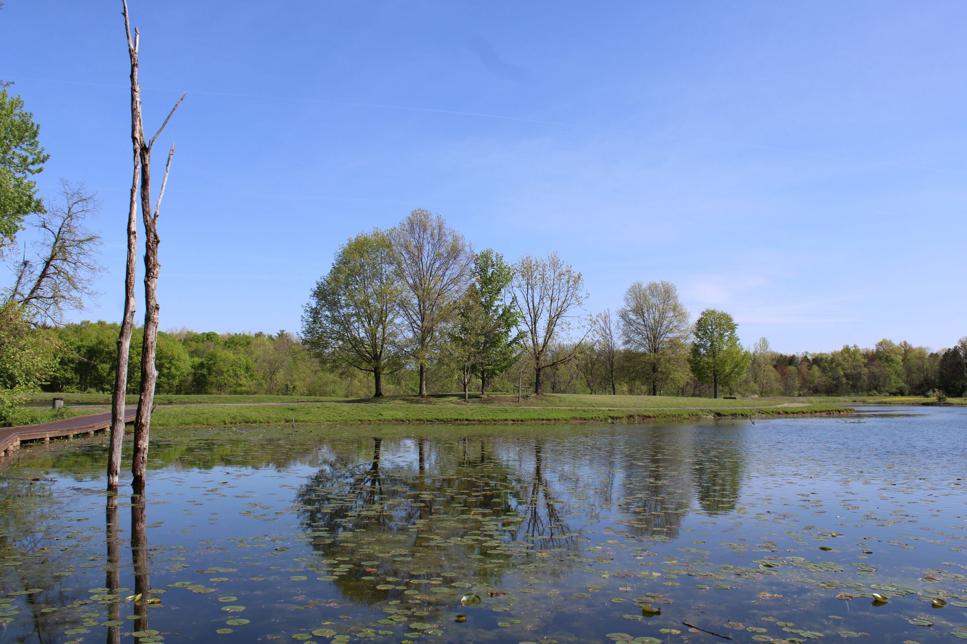 Tranquil pond with reflections of trees under a clear blue sky in Canal Winchester, Ohio.