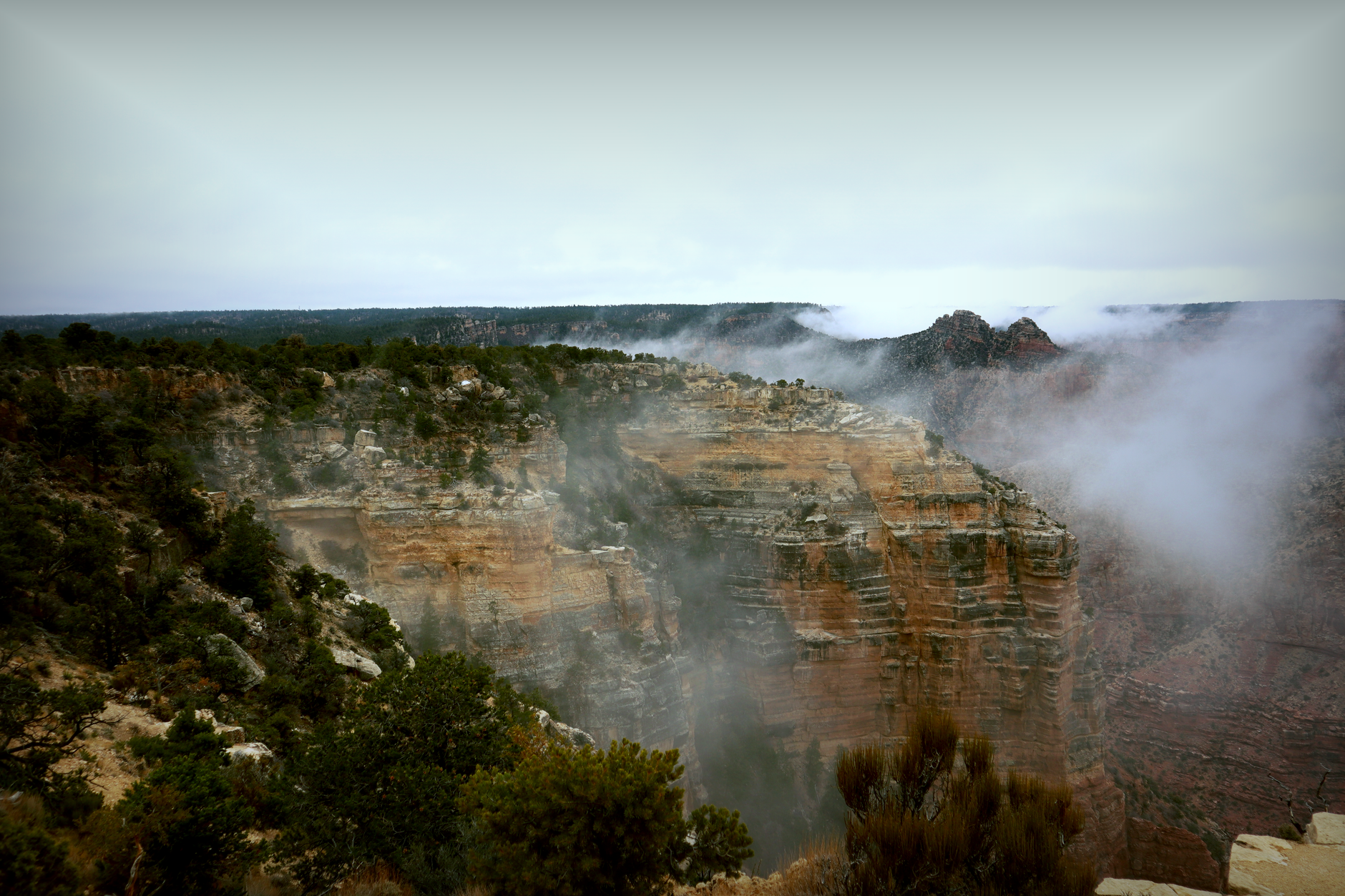 Scenic view of the Grand Canyon with fog over majestic cliffs in Arizona.