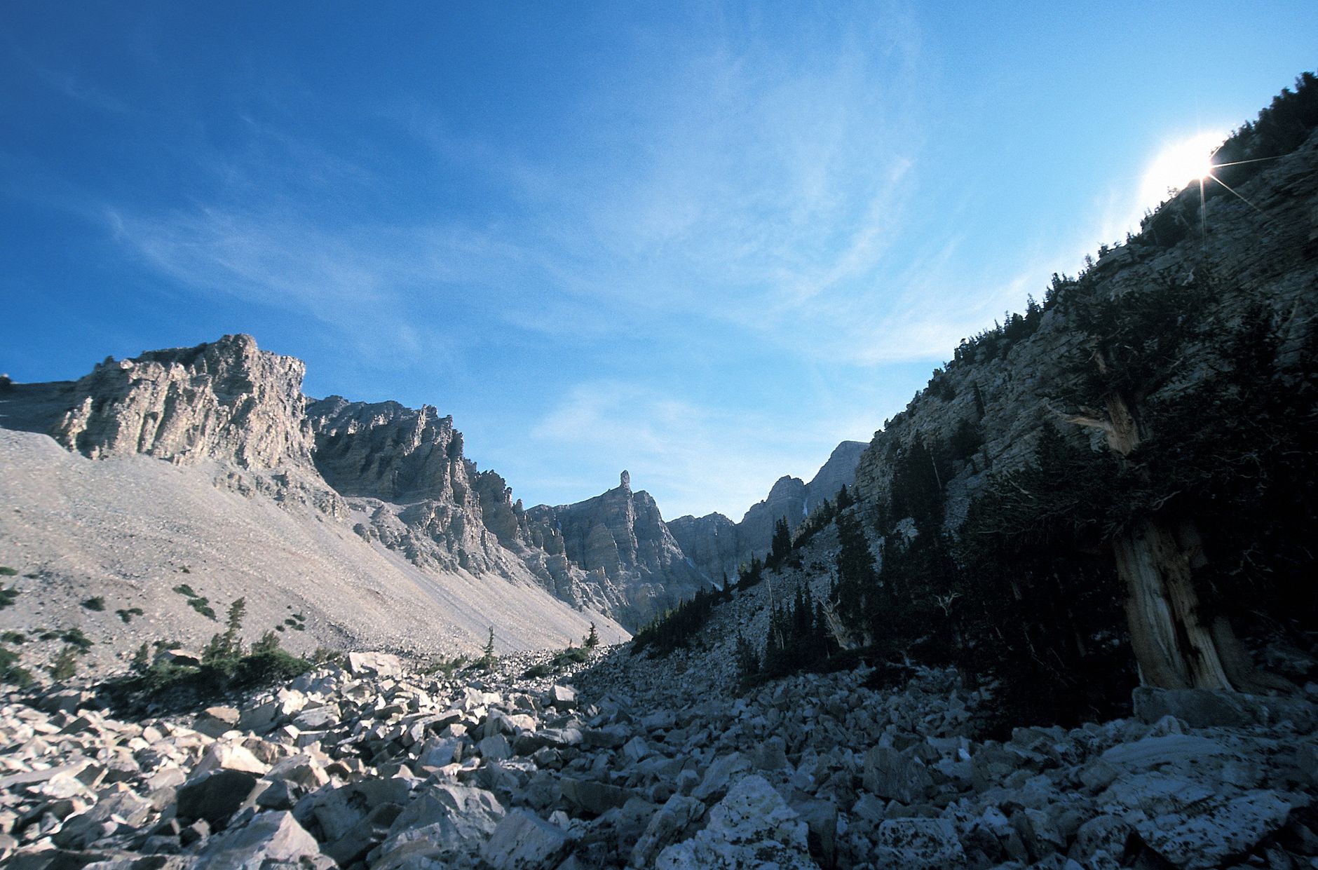Scenic view of rugged rocky mountains under a clear blue sky, capturing Nevada's natural beauty.