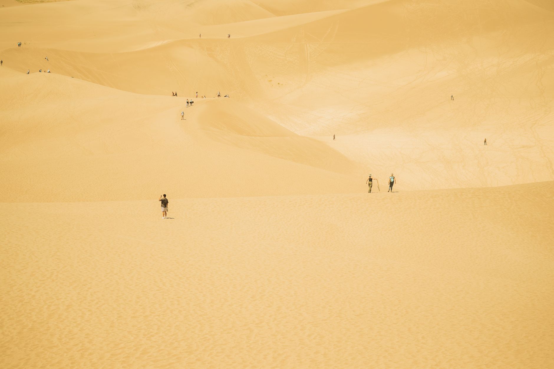 Hikers explore the vast, golden sand dunes under clear skies in Colorado, USA.