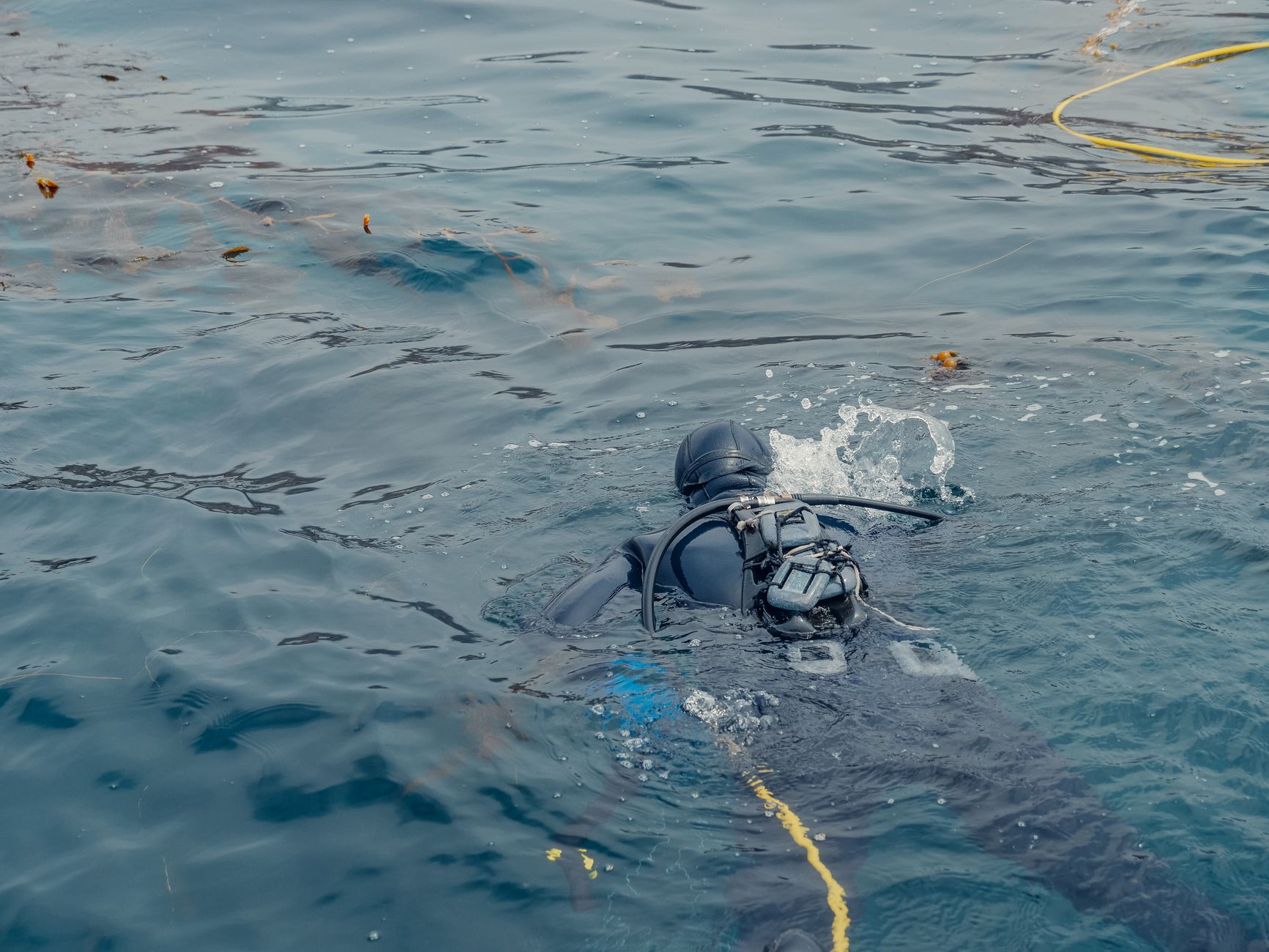 A scuba diver submerged in the ocean waters off the coast of California.