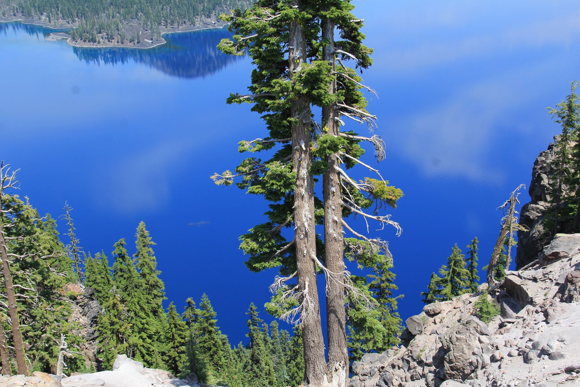 Beautiful view of Crater Lake surrounded by pine trees and rocky cliffs.