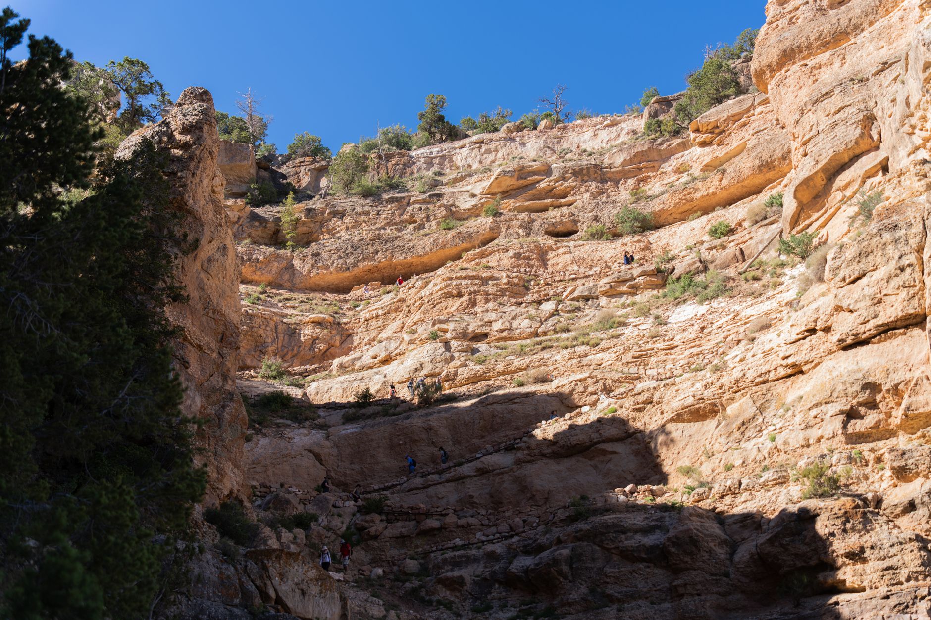 Hikers navigate the steep, stunning cliffs of the Grand Canyon under clear blue skies.