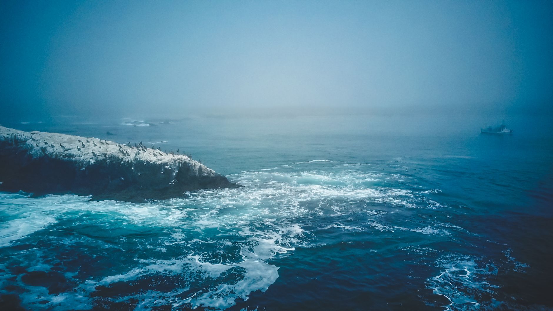 Foggy seascape with crashing waves and rocky coastline in California.