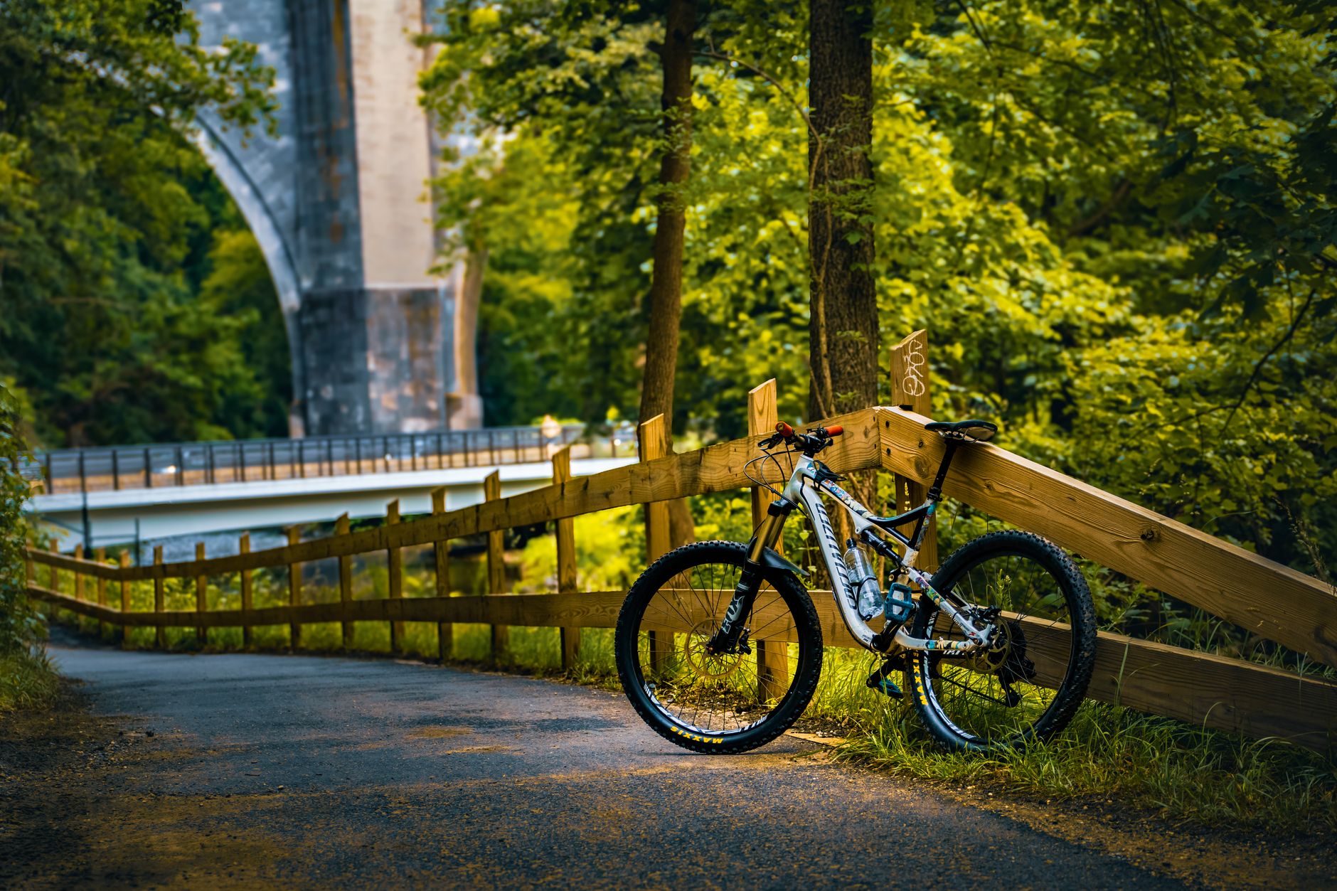 A mountain bike resting on a forest path near a large bridge in Washington, DC.