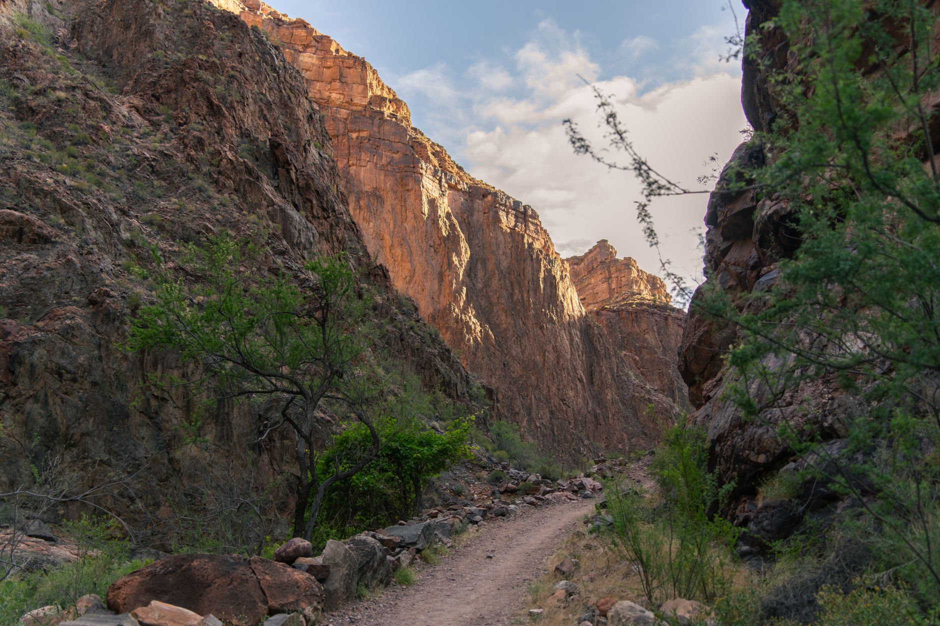 Explore the rugged beauty of the Grand Canyon's iconic hiking trail with stunning canyon vistas and vibrant desert flora.