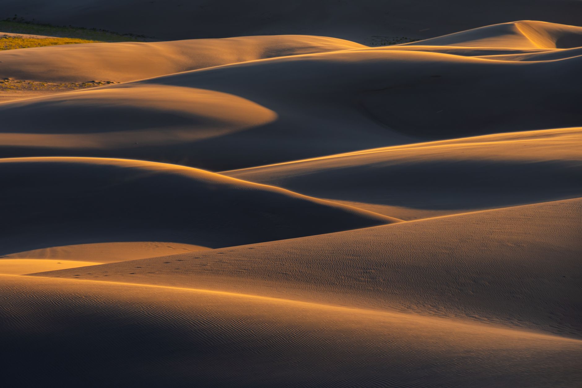Captivating golden sand dunes in Colorado captured beautifully at sunset, highlighting the natural patterns.