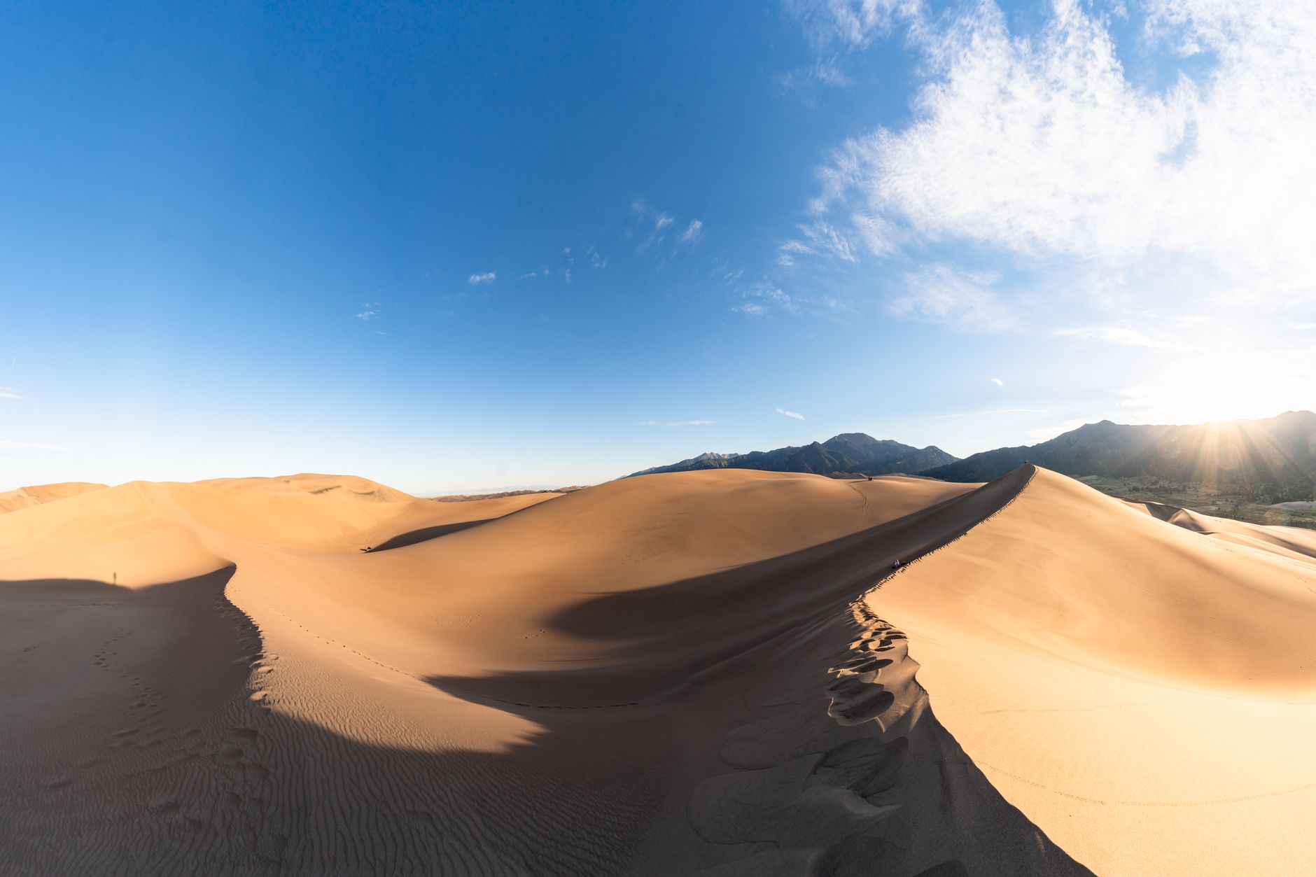 Golden sand dunes under a clear blue sky at Great Sand Dunes National Park, Colorado.