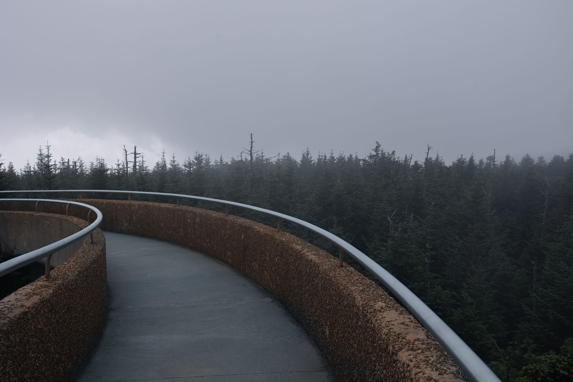 Foggy view from Clingmans Dome in the Great Smoky Mountains, offering a serene natural landscape.