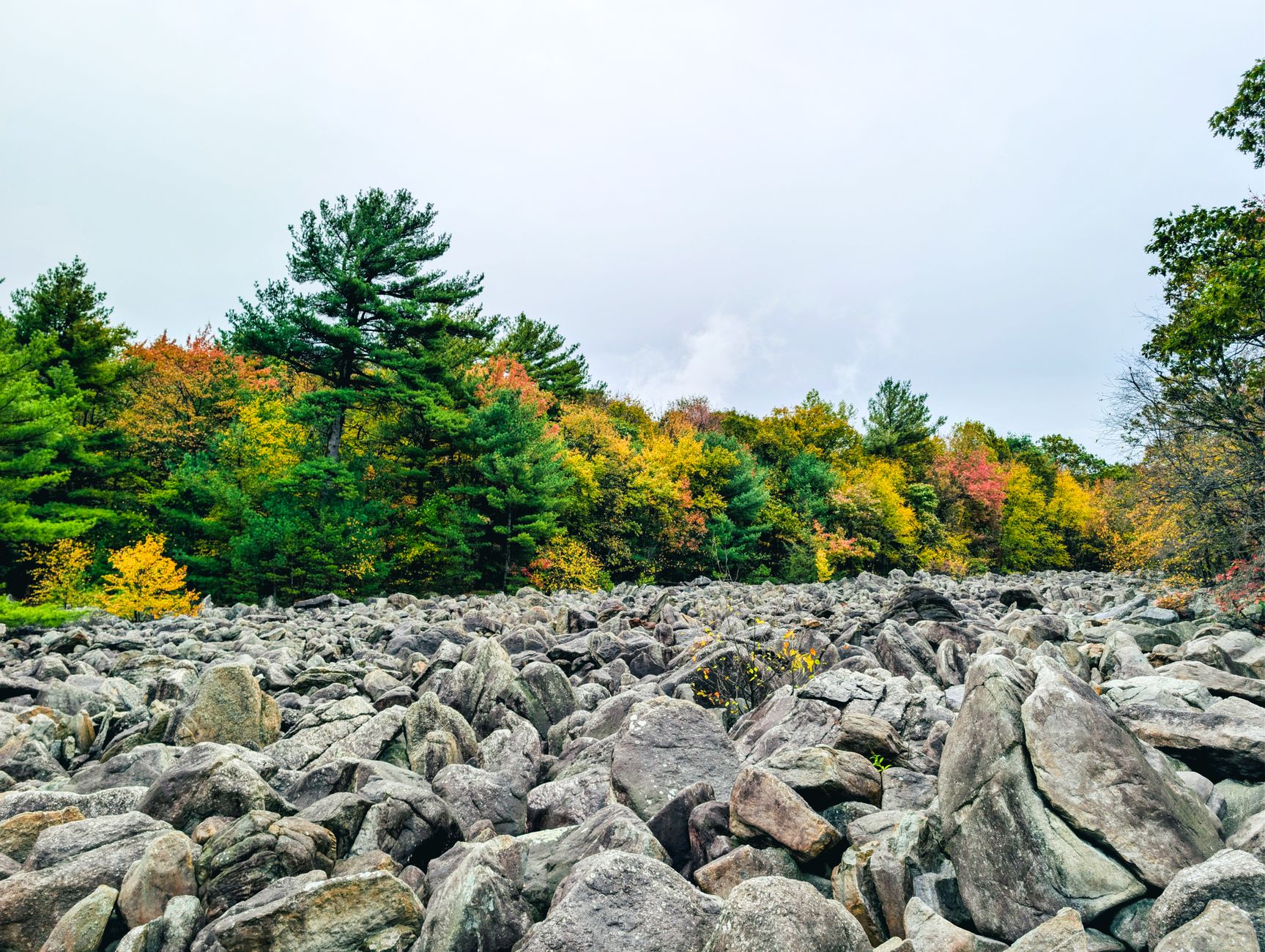 A vibrant autumn forest with colorful foliage and a rocky terrain under a clear sky.