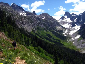 A hiker on a trail in a meadow full of wildflowers with mountains in the distance.