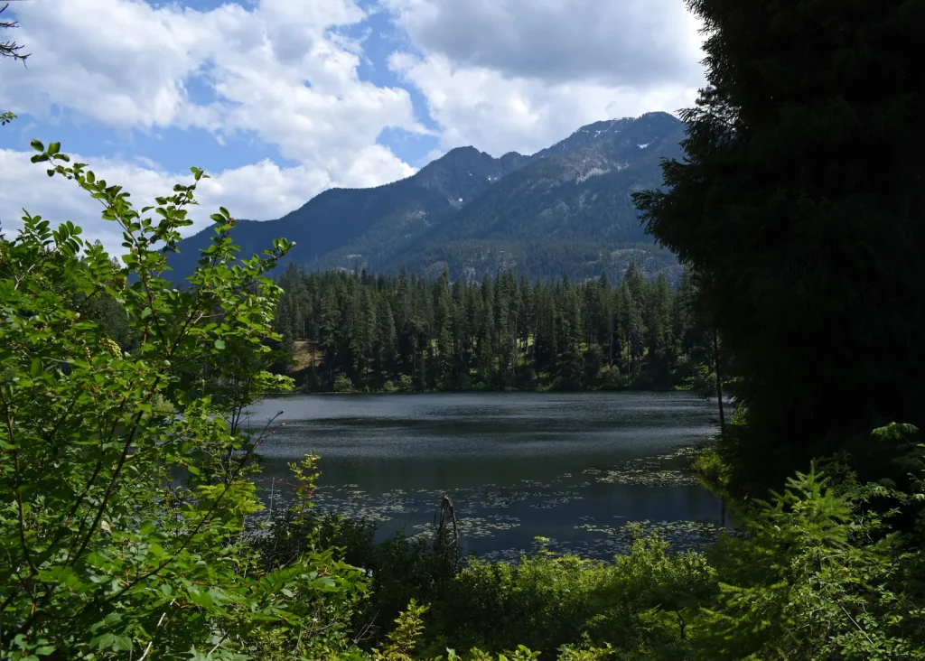 Howard Lake Trail
