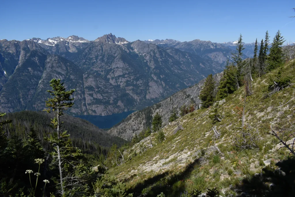 Purple Creek Trail