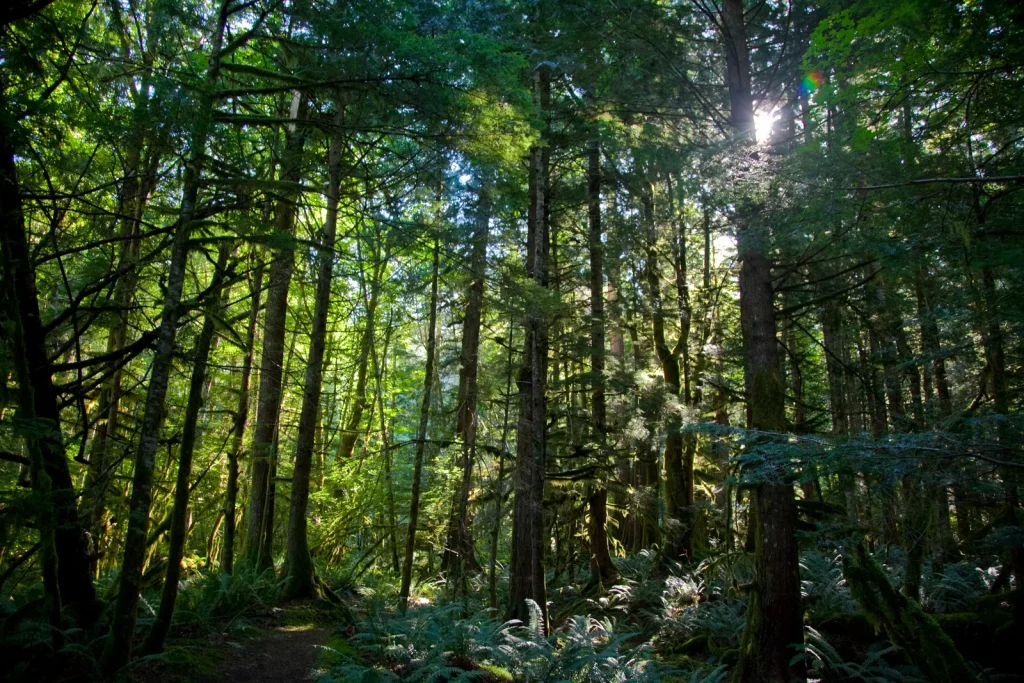 River Loop Trail
