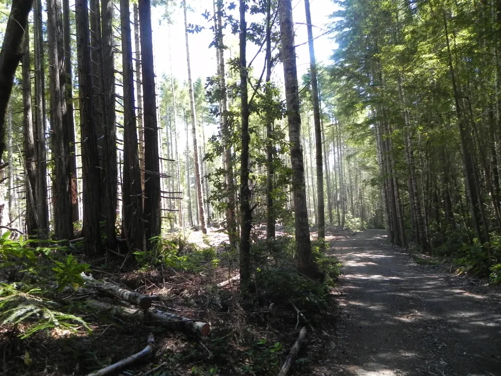Bike Lost Man Creek Trail
