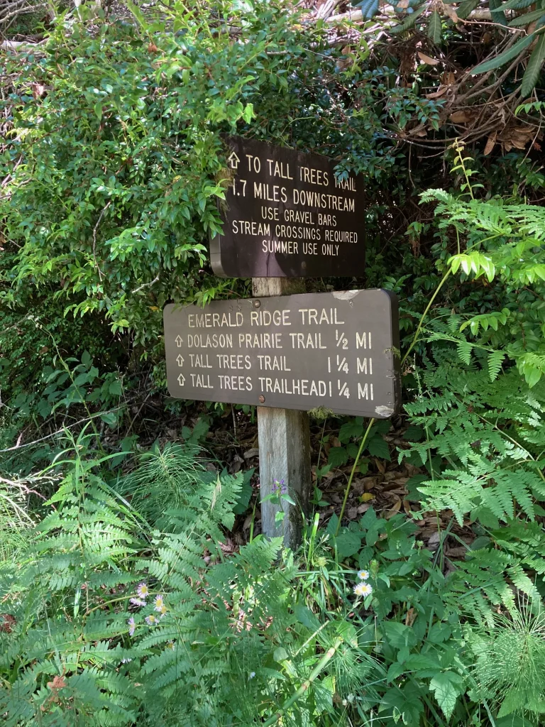 Emerald Ridge Trail