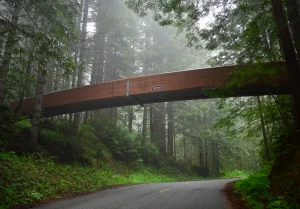 A brown wooden bridge crosses a road. Trees crowd the scene