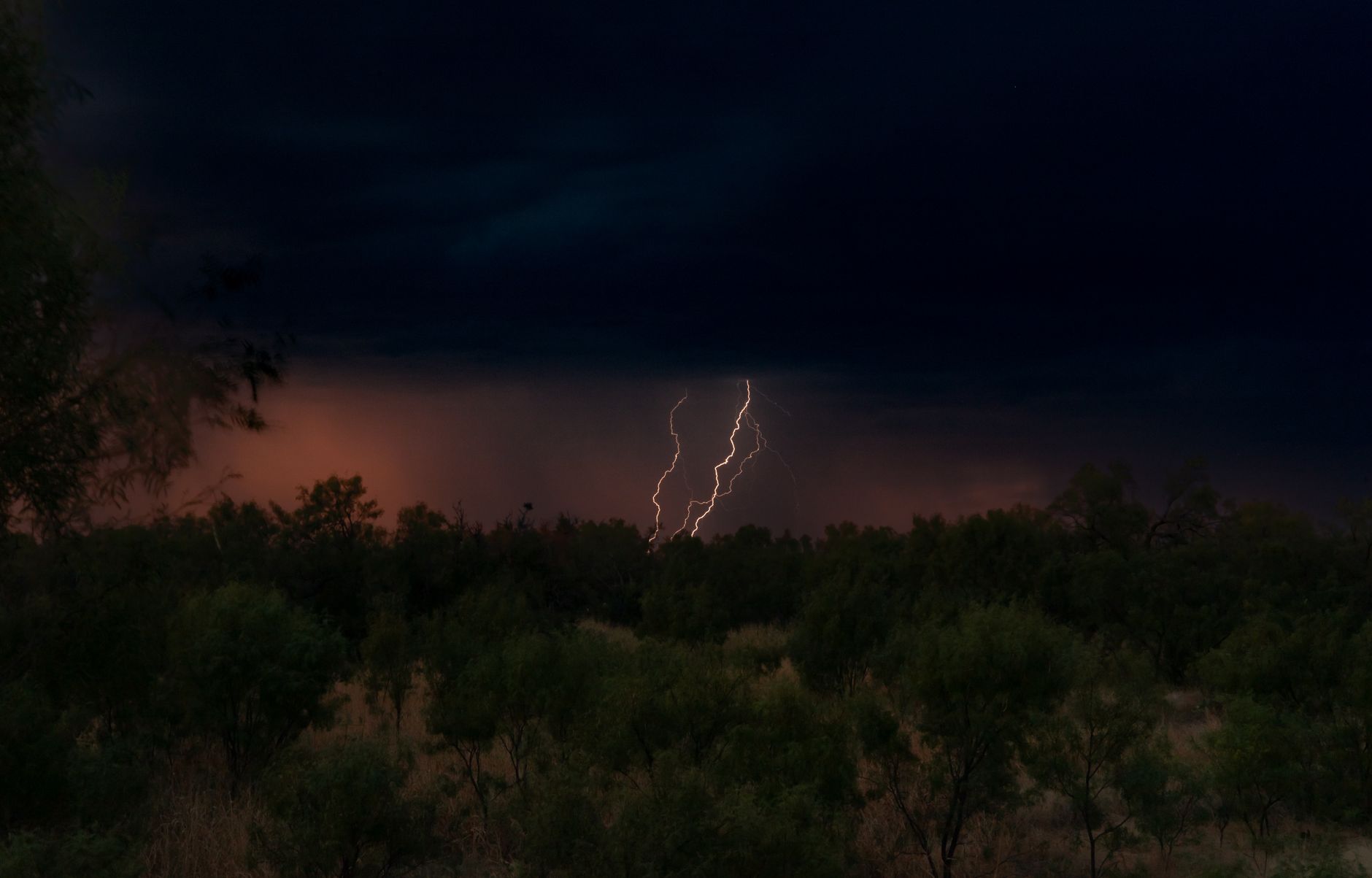 Captivating view of lightning striking during a stormy night in Grape Creek, TX forest.