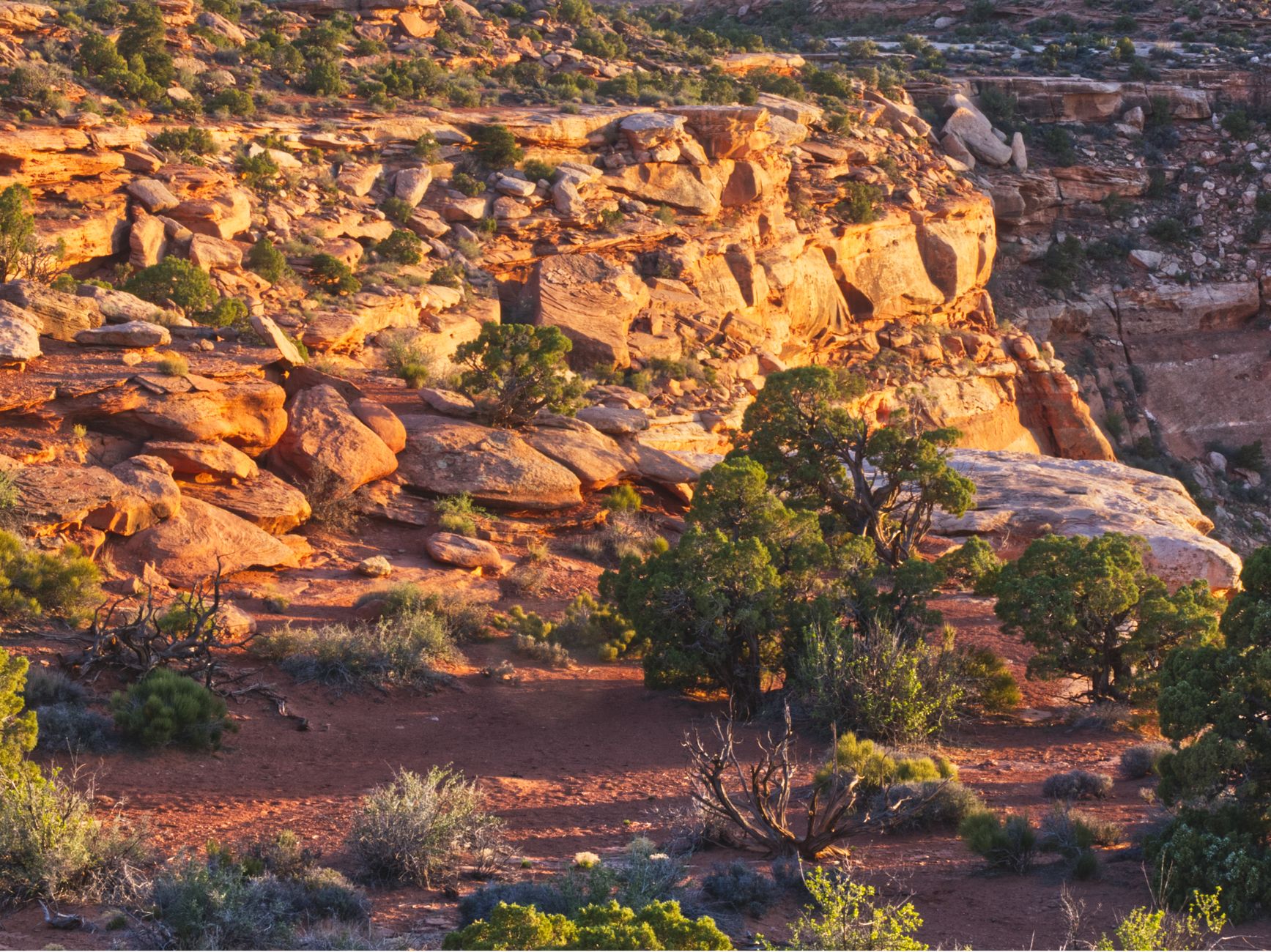 Stunning landscape of Canyonlands National Park at sunset with vibrant desert colors.