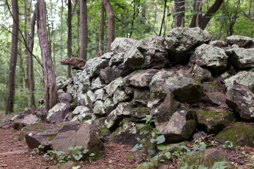 Fox Hollow Trail