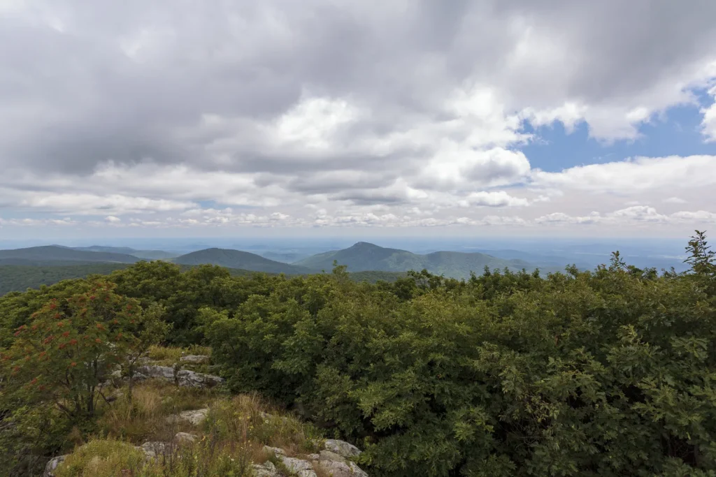 Hawksbill Loop