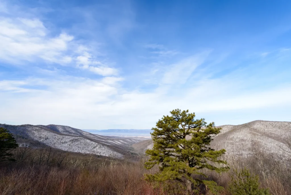 Knob Mountain – Jeremys Run