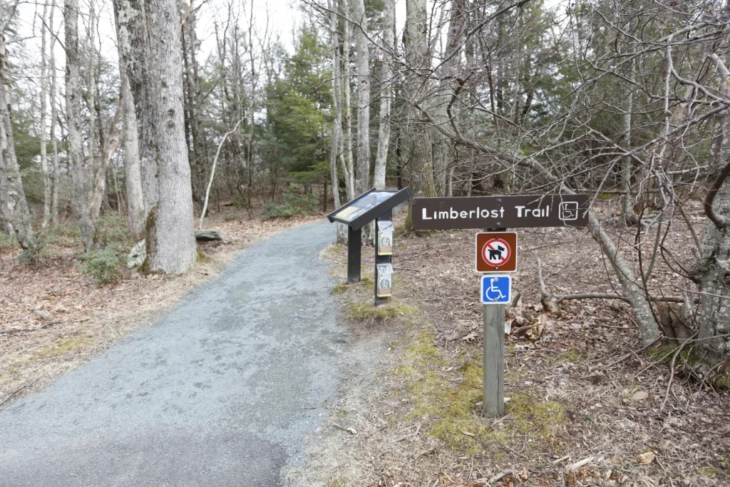 Limberlost