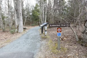 A gravel trail leads into the forest, past several educational signs