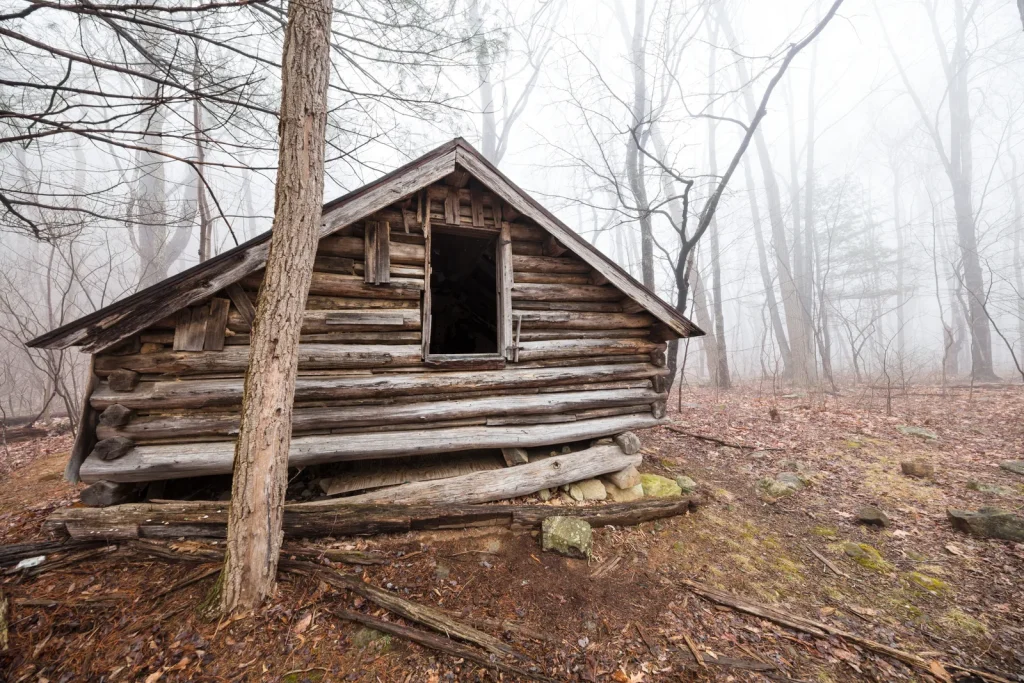 Nicholson Hollow