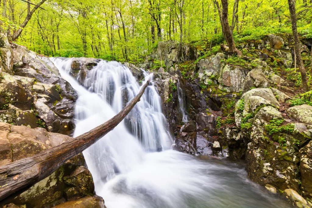Rose River Falls