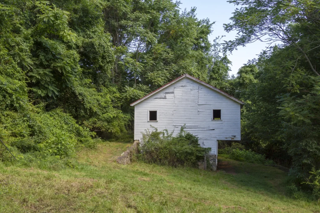 Snead Farm Loop