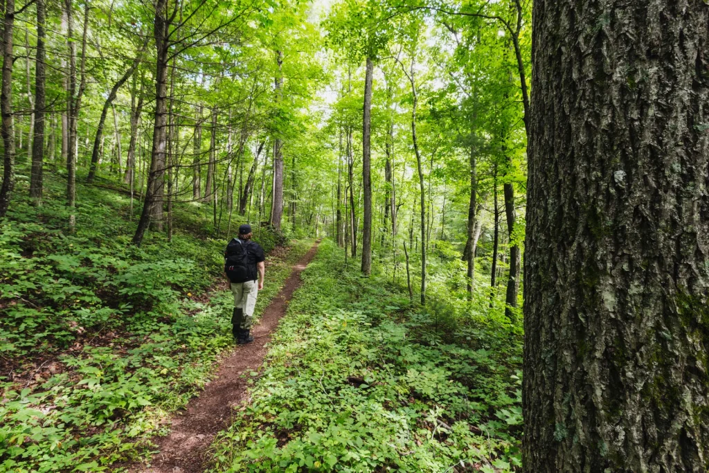 Sugarloaf Loop
