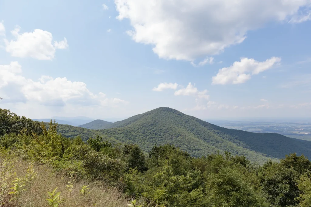 Turk Mountain