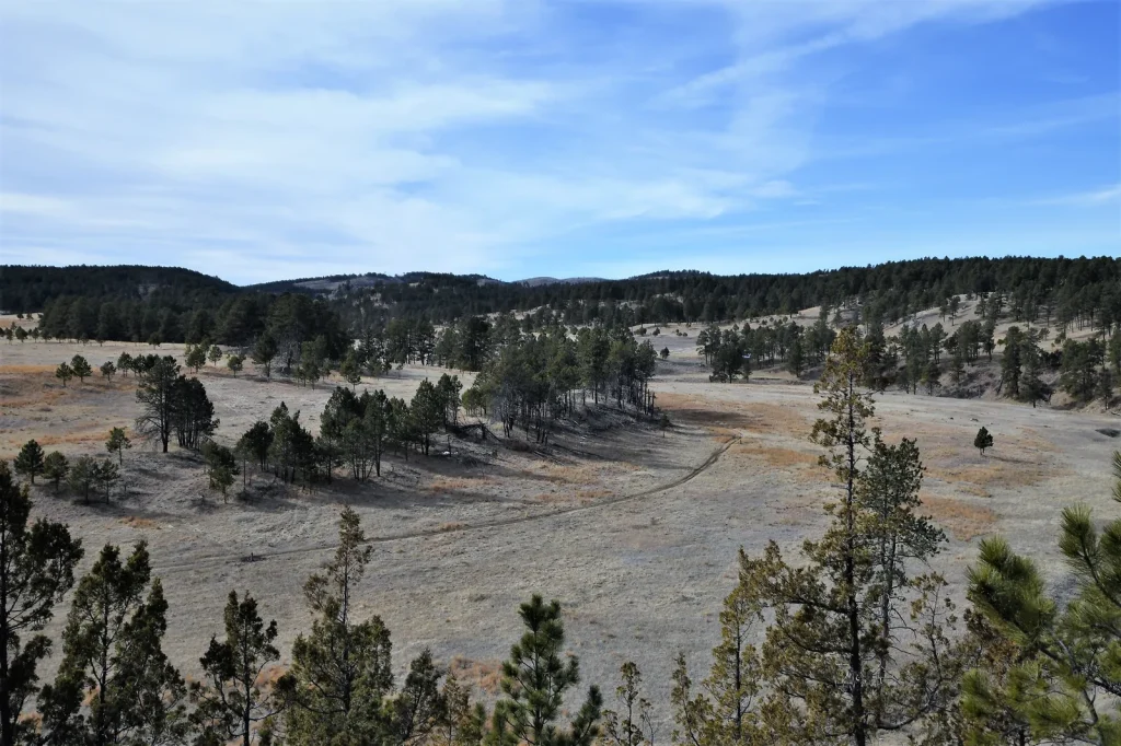 Cold Brook Canyon Trail