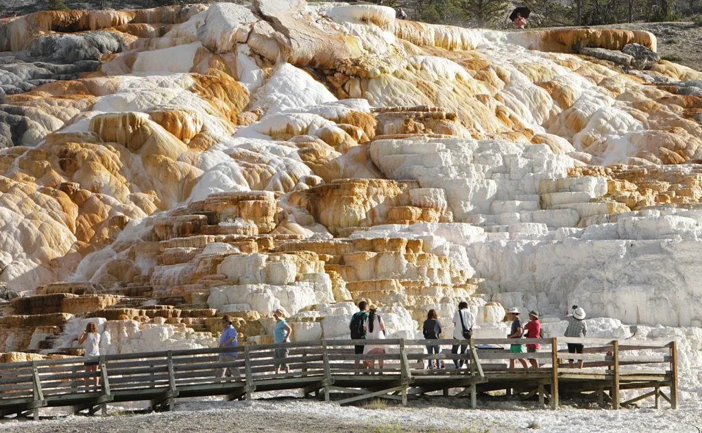 Mammoth Hot Springs Trails