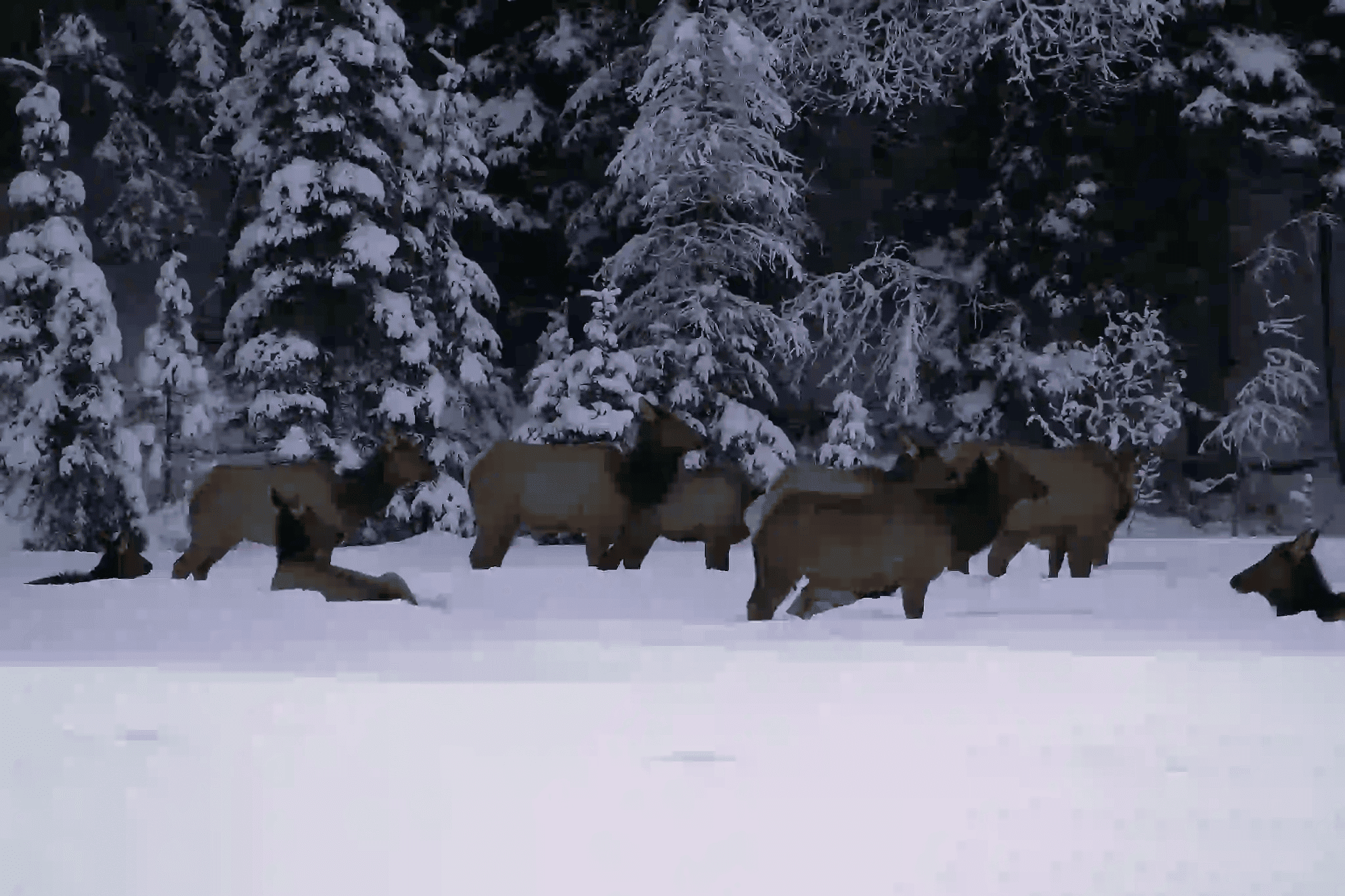 Deep winter snow blankets the Glacier National Park area near Whitefish Montana
