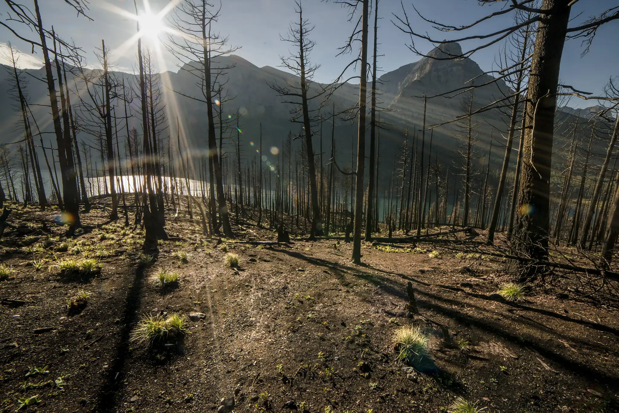 Glacier National Park