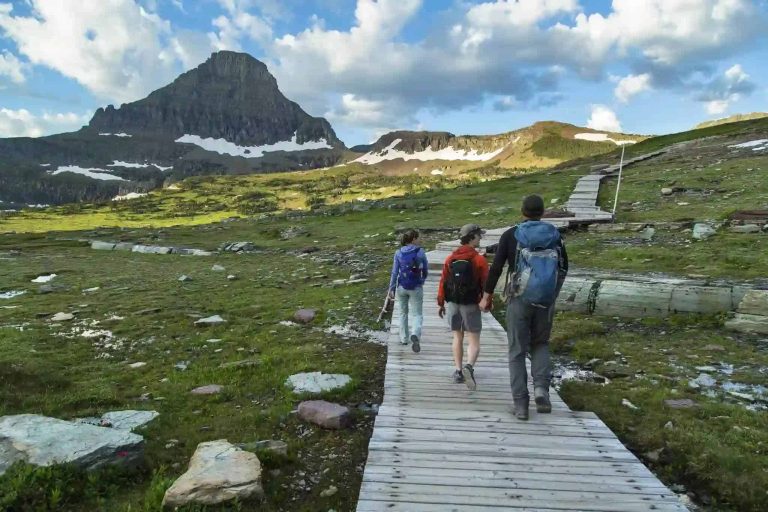 Alpine meadow under blue skies