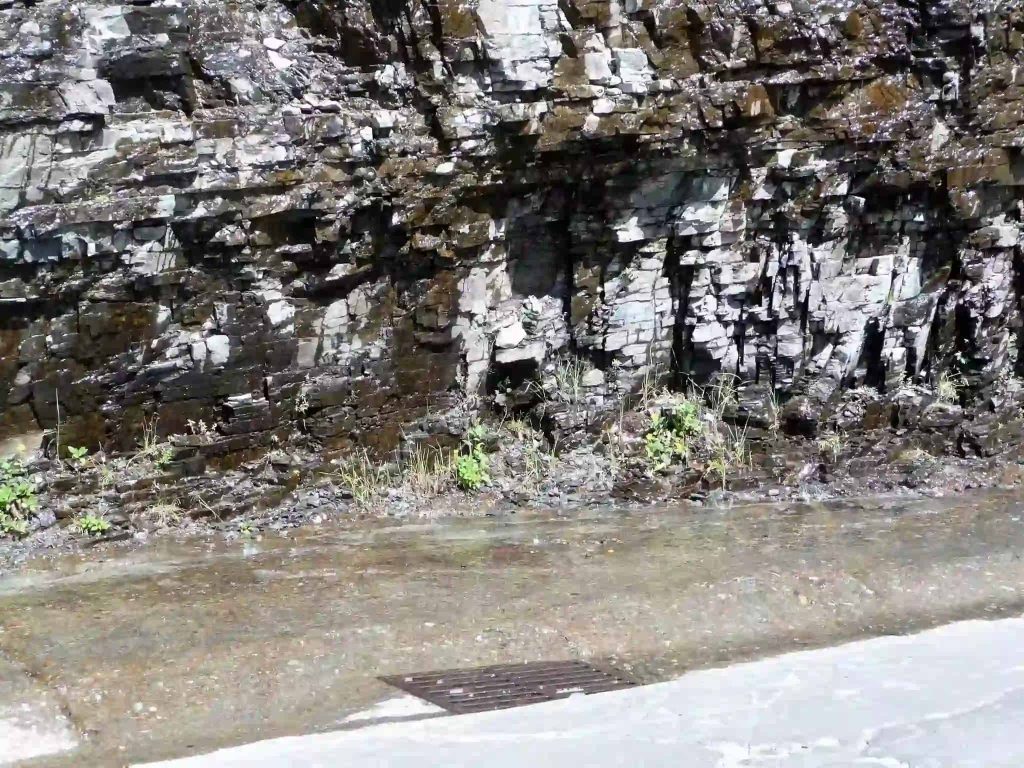 Weeping Wall Taken by B.D.'s world