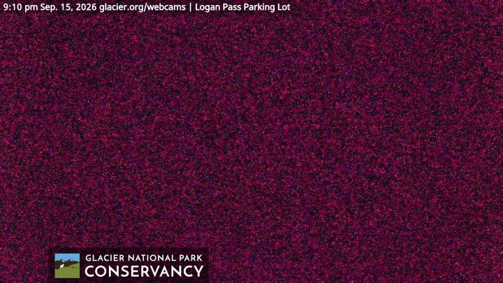 Logan Pass parking lot webcam, just now